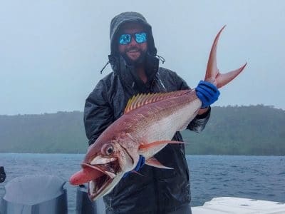 Resort Wear for Tropical Fishing Trips — Half Past First Cast