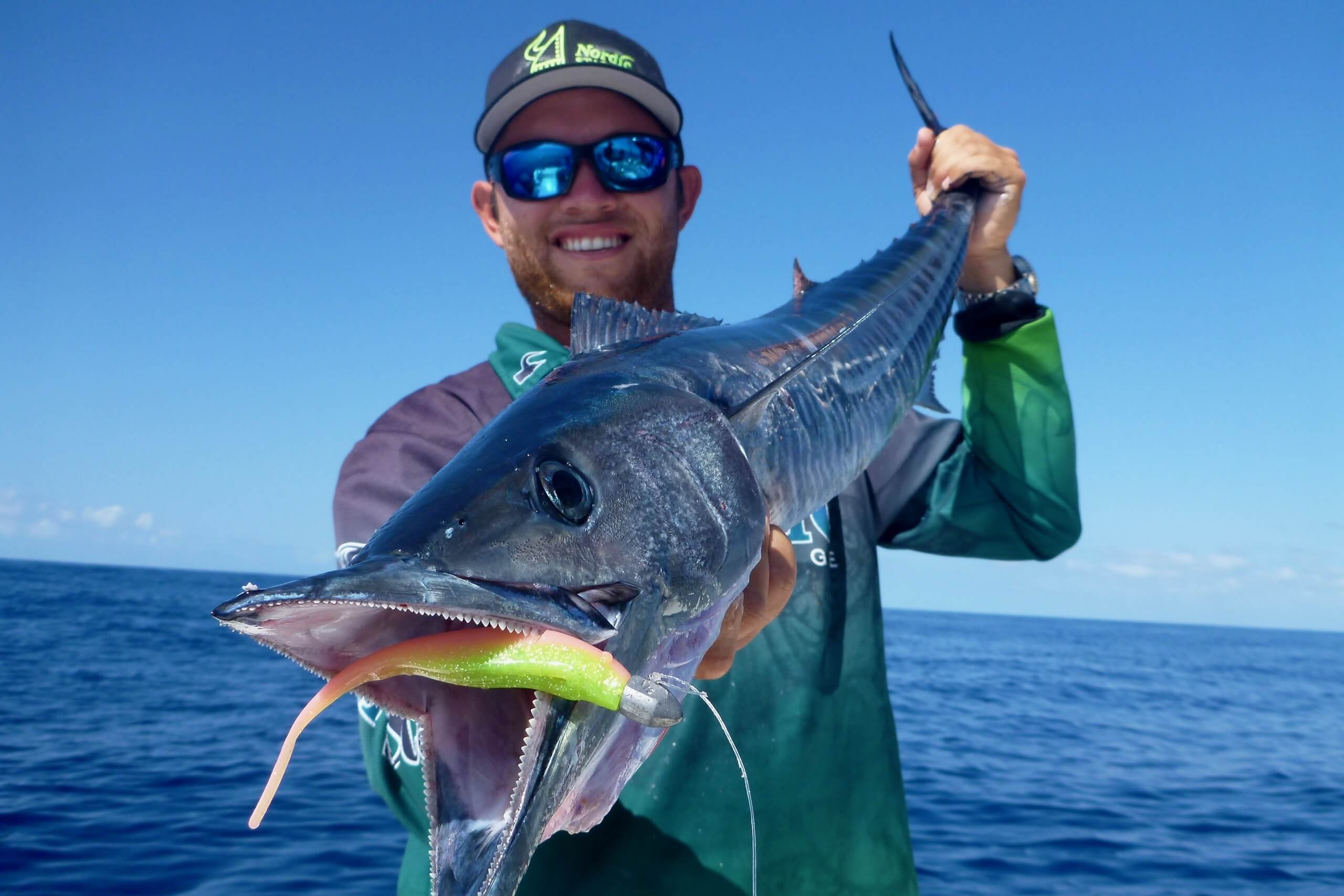 Bait Versus Plastic for Marlin Fishing
