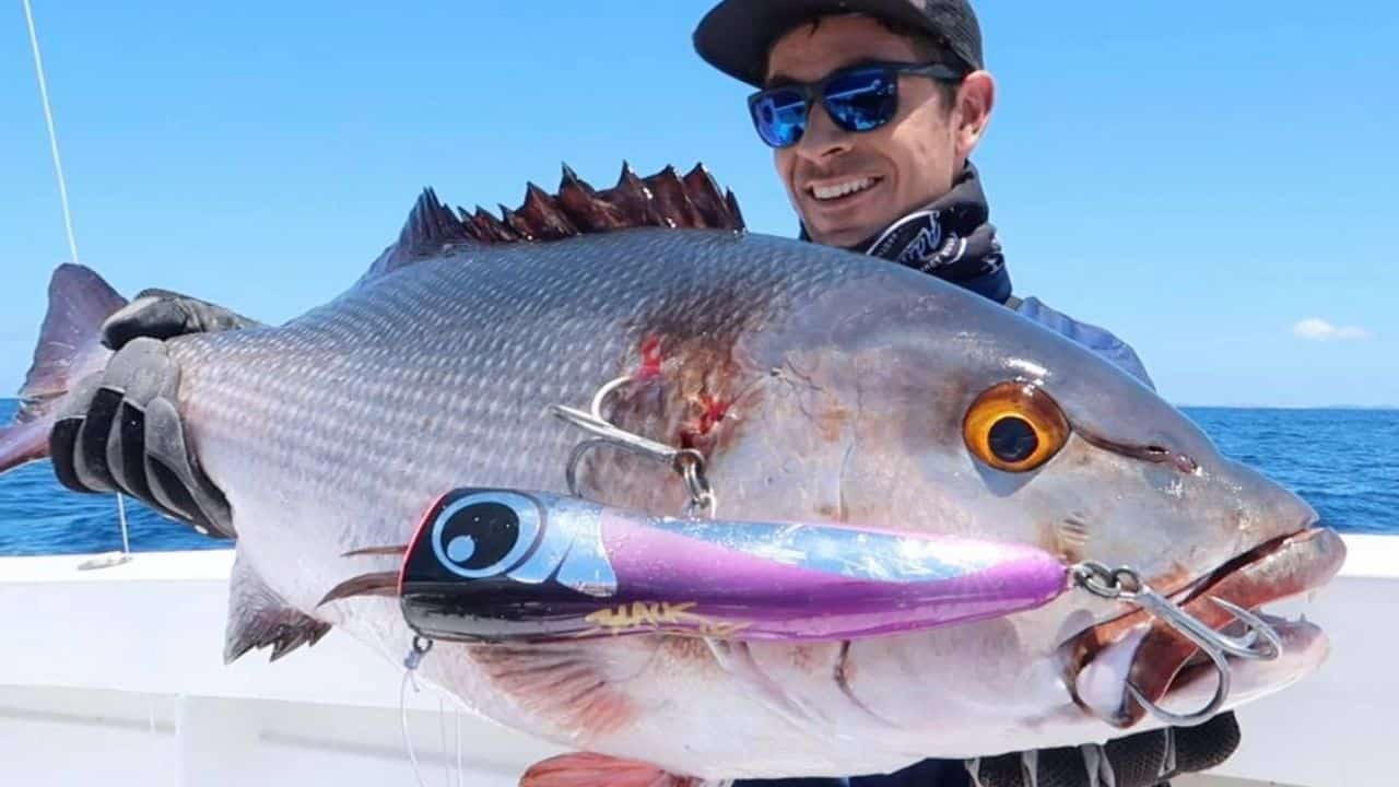 Fishing Big Game Popper Lures  Fishing Lure Popper Trolling