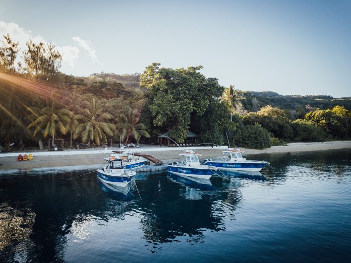 Aerial view of Trees and Fishes Private Retreat in Vanuatu, featuring lush greenery and a private jetty.