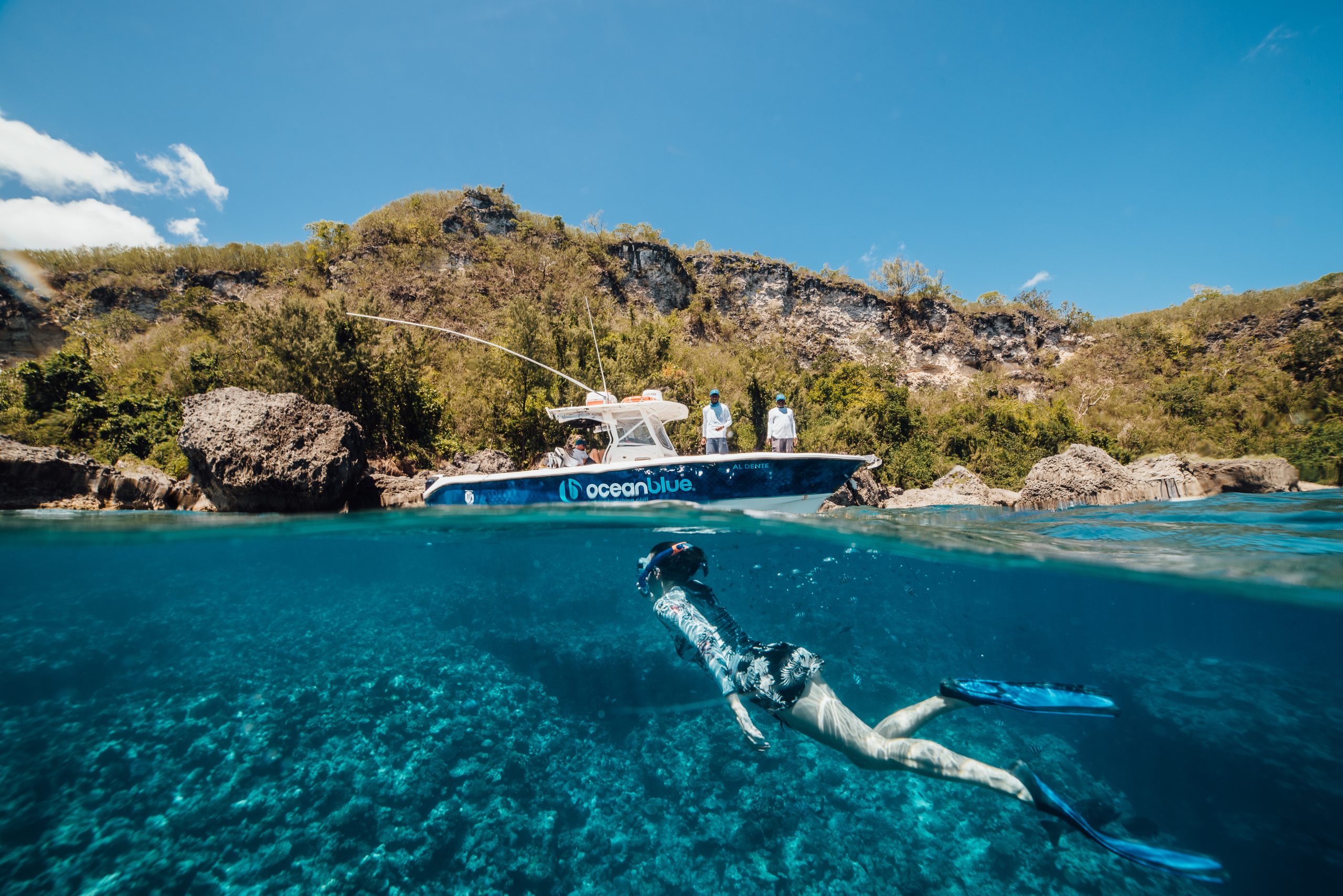 Guests snorkelling in the waters near Trees and Fishes Private Retreat.